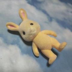 値引き！！シルバニア☆はなぞのウサギ☆子供サイズのサムネイル