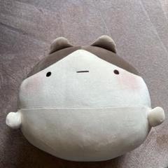 ずんどうネコ もっちるBIGぬいぐるみ - メルカリ