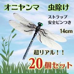 2025年最新】トンボ 標本の人気アイテム - メルカリ