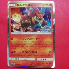 デッキシールド プロモ　cl 上位賞　勝利賞 ポケモンカードゲーム チャンピオンシップシリーズ2024で獲得