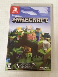 Minecraft Nintendo Switch版