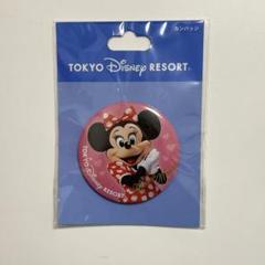東京ディズニーリゾート　実写ミニーマウス　缶バッジ