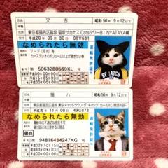 なめねこ 免許証の中古 未使用品を探そう メルカリ なめねこ 免許証の中古 未使用品を探そう メルカリ
