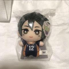 月島　山口　ちみっともぬい　ハイキュー　マスコット　ぬいぐるみ　サンリオ　蛍　忠 月島 山口 ちみっともぬい ハイキュー マスコット ぬいぐるみ