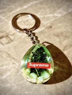 Supreme Seahorse Keychain FW16 タツノオトシゴ - メルカリ