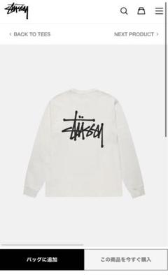 BASIC STÜSSY LS TEE PIGMENT DYED Mサイズ