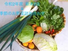 朝採れ無農薬野菜 と 新米 詰め合わせセット