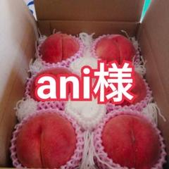葡萄の枝様 リクエスト 2点 まとめ商品 枝様 リクエスト 2点 まとめ商品 葡萄の枝様 リクエスト 2点