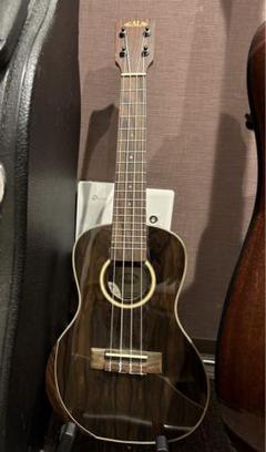 Satin Mahogany Concert Ukulele – Kala Brand Music Co.™