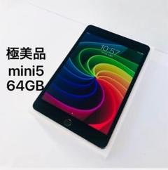Apple iPad mini5 Wi-FiCellular 32GB 【美品】