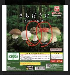 まちぼうけ きのこの場合 全5種 フルコンプ 楽天市場】まちぼうけ きのこの場合 全5種セット コンプ