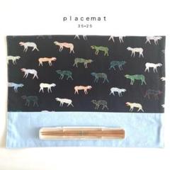 ◯ｐｌａｃｅｍａｔ◯ランチョンマット　ランチマット　幼稚園　保育園　３５×２５
