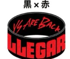 新品未開封 ELLEGARDEN2018年ライヴツアー　公式グッズラバーバンド赤のサムネイル
