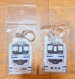横須賀線 217系ミニキーホルダー ノーマル&快速セット 電車 鉄道