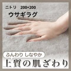 新品未開封　ニトリ　ラビットファータッチラグ　ウサギラグ3 200X200