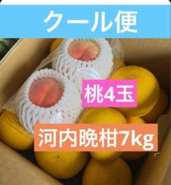 まなはる　河内晩柑7kg×２箱ぐるりん 河内晩柑｜新口農園｜オンラインショップ – SHINGUCHI FARM