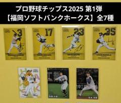 プロ野球チップス 2025 第1弾【福岡ソフトバンクホークス】モイネロほか全7種