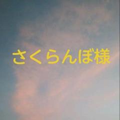 ※値下げしました※ パーフェクトワールド 1~6巻セット