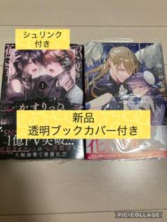 新品　かすりっひ　御自愛／梟と夜想曲　フタミコウキ