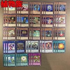 遊戯王 - 【植物族 デッキ】遊戯王/カード/セット/かいつんあお