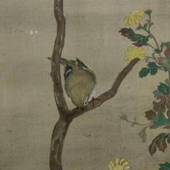 不詳/琴泉/菊に鴬図/小禽図/花鳥/布袋屋掛軸A-440 m57210219863_1.jpg?1713846237