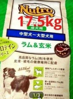 ニュートロナチュラルチョイス ラム＆玄米 中型犬〜大型犬 成犬