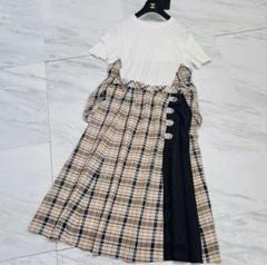 極美品 近年モデル LLサイズ レリアン エズミ セットアップ