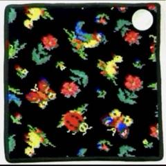 フェイラー完売品✨ハイジ❤︎フォロワー様限定✨エプロン ハイジ エプロン HE-191335（WEB限定）(ホワイト): FEILER