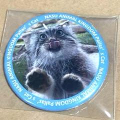 那須どうぶつ王国　アジアの森　缶バッジ　アクキー　コンプリートセット　マヌルネコ 那須どうぶつ王国 アジアの森 缶バッジ アクキー フル