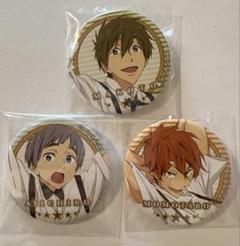 Free TM絆 缶バッジコレクション 似鳥愛一郎 橘真琴 御子柴百
