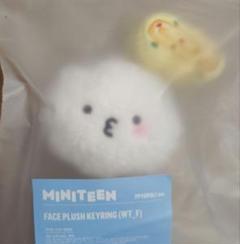 MINITEEN ポップアップ ぬいぐるみ セブンティーン　ウジ ウジ ぬいぐるみ MINITEEN ポップアップ セブチ - メルカリ