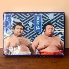 【新品未使用】大相撲若手人気力士 バスタオル