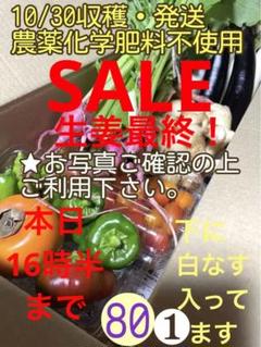 農業資材の検索結果 - メルカリ 格安ショッピング 【農業資材】ネギの収穫ネット 30枚 まとめ売り まとめ売り