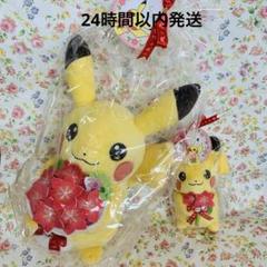 ポケモンセンター ぬいぐるみ ピカチュウとグラシデアのブーケ
