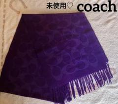 未使用近い ルイヴィトン シルクストール モノグラム 紫 バイカラー 未使用近い ルイヴィトン シルクストール モノグラム 紫 バイ
