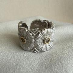 [お値下げ］自然の貝にシルバーコーティングしたフェデリコブチェラッティの作品 IMG-0618_15801e06-c42c-4091-