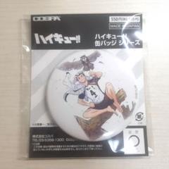 ハイキュー!! 描き下ろし 缶バッジ JF2024 Ver 日向翔陽 木兎