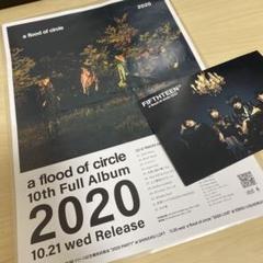 2025年最新】a flood of circle アルバムの人気アイテム - メルカリ