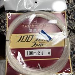フロロプロハリス 100m 24号 フロロカーボン 100m ピンク ハリス 道糸 釣り糸 ライン【 8号
