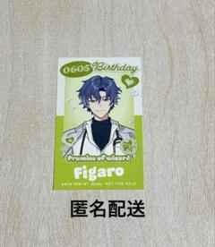 まほやく 魔法使いの約束 バースデーブロマイド フィガロ キャンセル分再販】HAPPY BIRTHDAY 2024スペシャルブロマイド