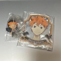 日向翔陽 ハイキュー稀有 5点セッド