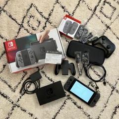 Nintendo Switch 本体 グレー 動作確認済み 純正ケースなどおまけ