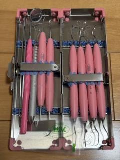 明日まで限定価格‼️保護ケース付き 歯科 スケーラー プローブ 明日まで限定価格‼️保護ケース付き 歯科 スケーラー プローブ