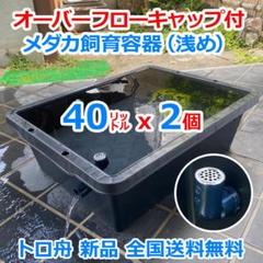 新仕様】メダカ飼育ケース 40㍑トロ舟x2個 オーバーフロー対策済