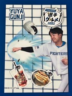 日本ハムファイターズ　オンフィールドジャケット　　　青白　Ｌサイズ　未使用・美品 24－25 ON－FIELD COLLECTION