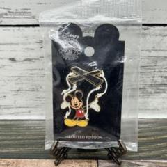 2025年最新】ディズニーピンバッジ リミテッドエディションの