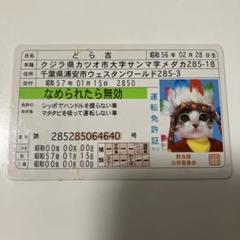 なめ猫　免許証のサムネイル