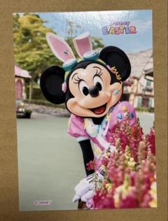 2025年最新】ディズニースペシャルフォトの人気アイテム - メルカリ
