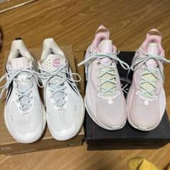 ★もえかな★ 【新品,・未使用】リーニン24.5 バスケシューズ LI-NING(リーニン) ABPV021-5 WADE SHADOW 6V2 リーニン