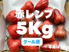 【K 】※希少 〈赤レンブ〉 クール便5Kg 50個前後(傷あり品) K 様専用】※希少 〈赤レンブ〉 クール便5Kg 50個前後(傷あり品